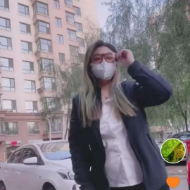 道理比较特丹