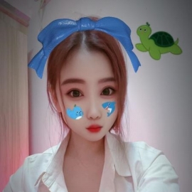 武昌小笨蛋